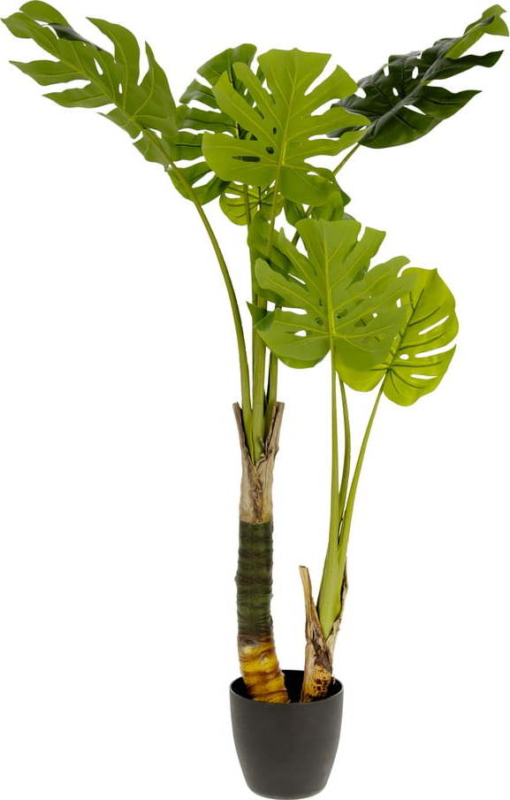 Umělá monstera Kave Home