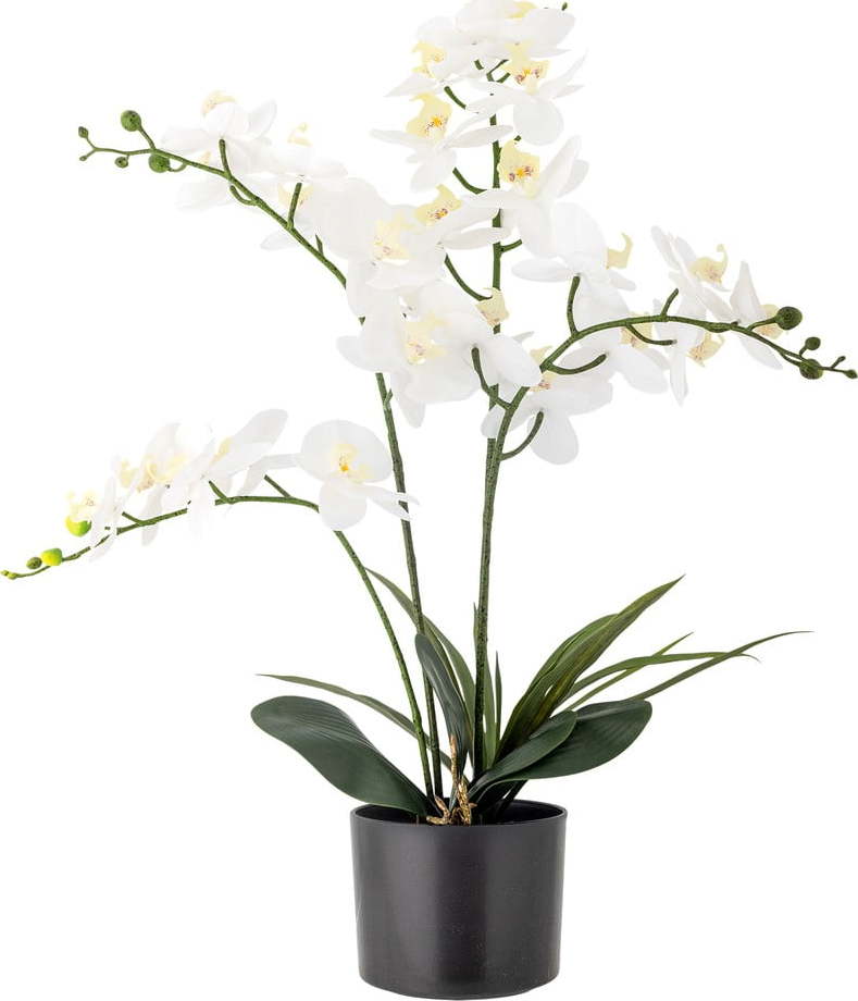 Umělá květina (výška 84 cm) Orchid – Bloomingville Bloomingville