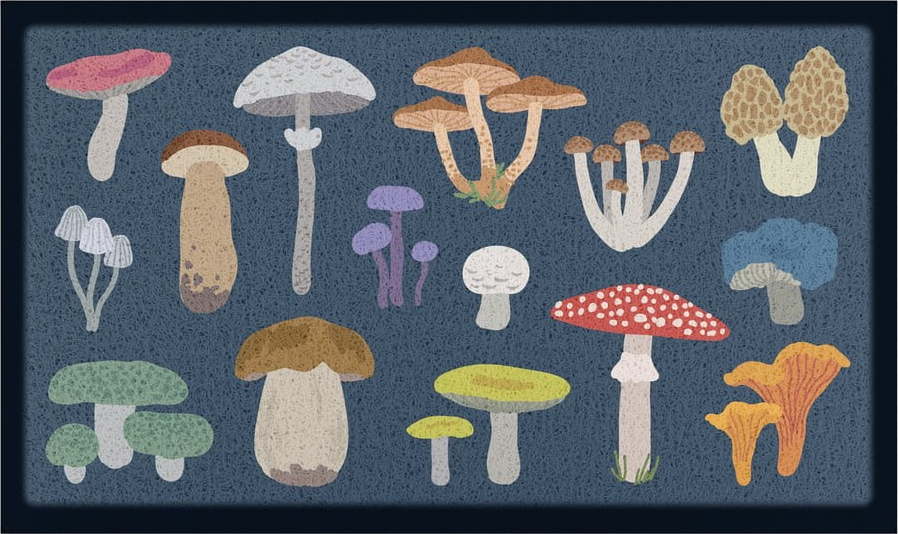 Rohožka 40x70 cm Mixed Wild Mushroom – Artsy Doormats Artsy Doormats