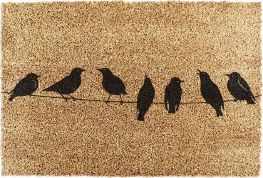 Rohožka z kokosového vlákna 40x60 cm Birds On a Wire – Artsy Doormats Artsy Doormats