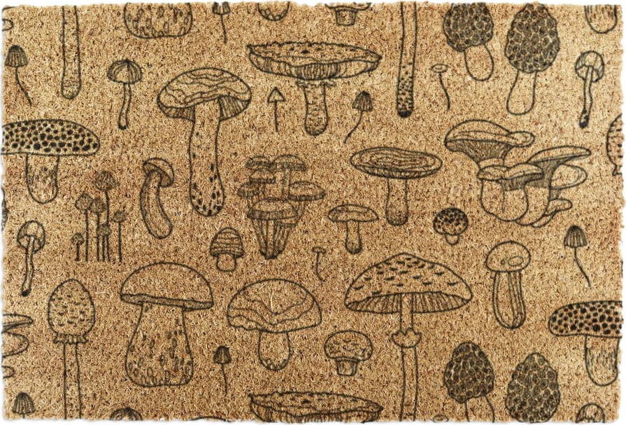 Rohožka z kokosového vlákna 60x90 cm Mushrooms – Artsy Doormats Artsy Doormats