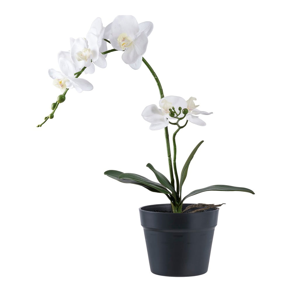 Umělá květina (výška 47 cm) Orchid – House Nordic House Nordic