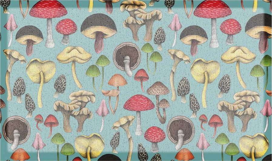 Rohožka 40x70 cm Wild Mushroom x Celia Battaini – Artsy Doormats Artsy Doormats