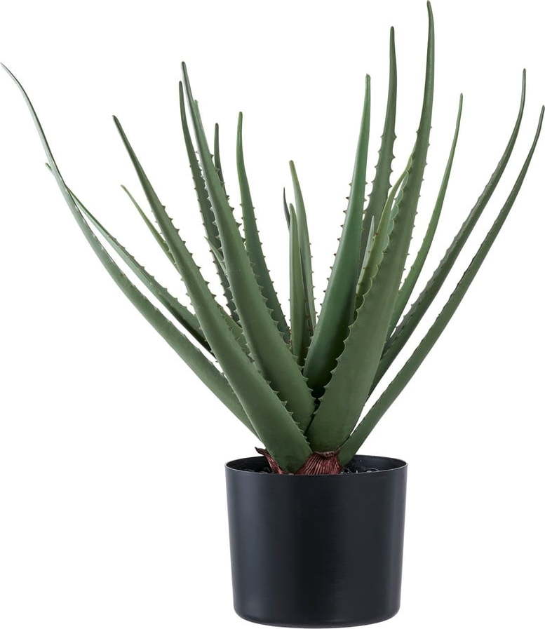 Umělá rostlina (výška 51 cm) Aloe Vera – House Nordic House Nordic