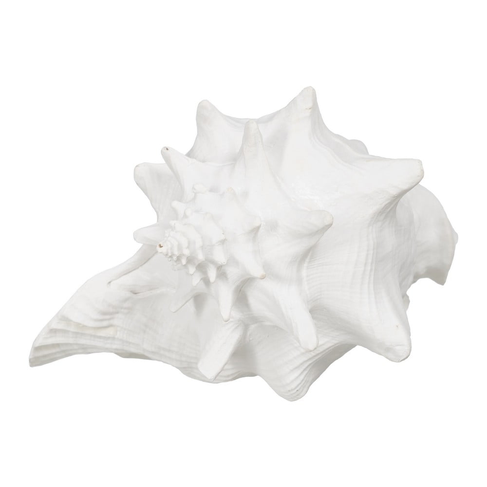 Soška z polyresinu (výška 13 cm) Seashell – Ixia Ixia