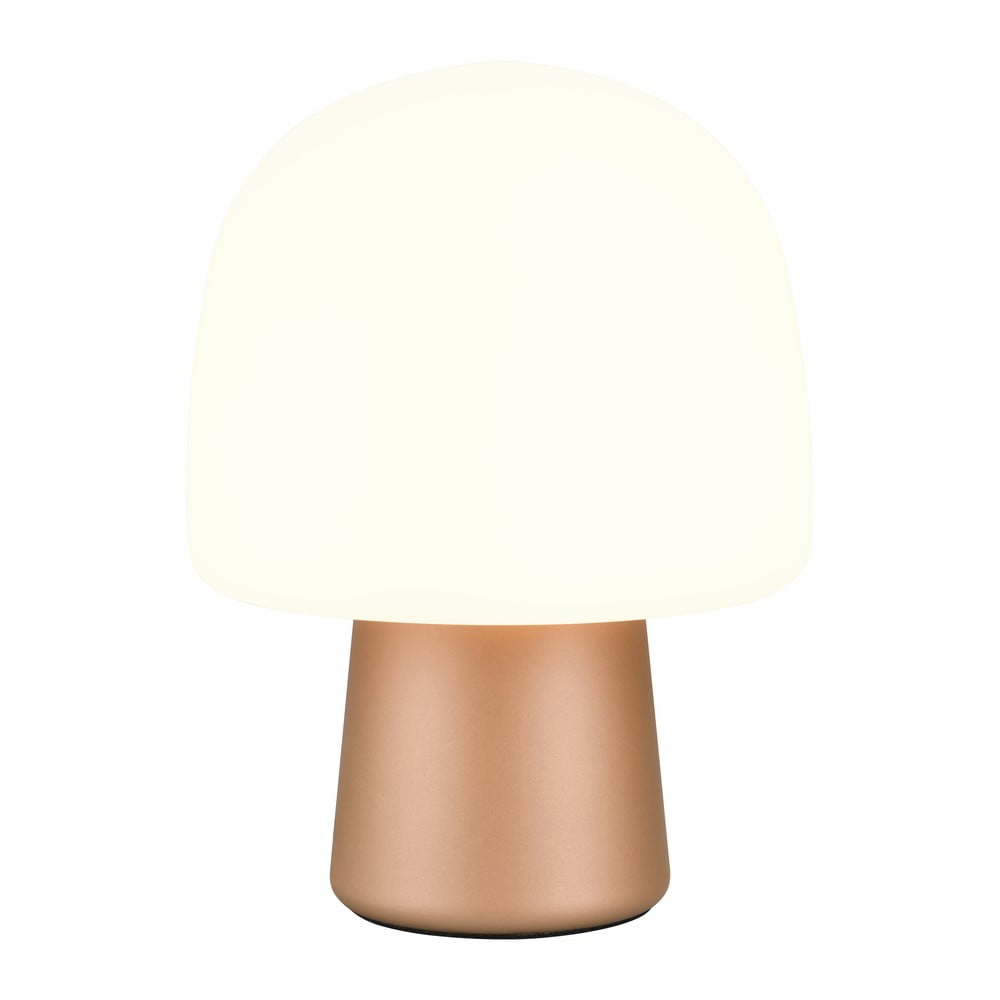 Stolní lampa v bílo-bronzové barvě se skleněným stínidlem (výška 27 cm) Steen – Trio TRIO