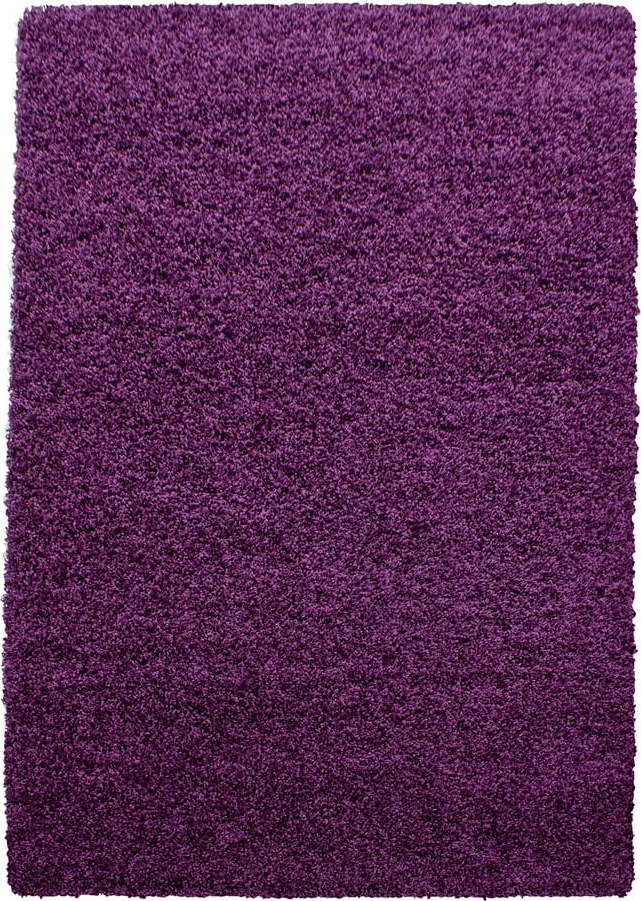 Tmavě fialový koberec 140x200 cm Life – Ayyildiz Carpets Ayyildiz Carpets