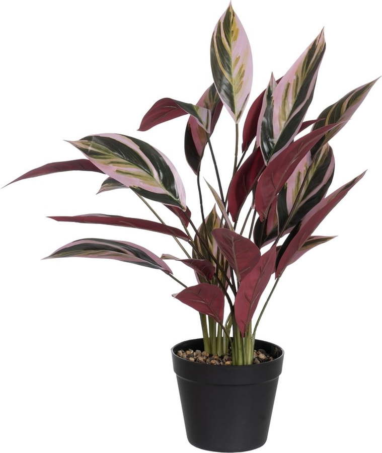 Umělá rostlina (výška 55 cm) Bird of Paradise – Ixia Ixia